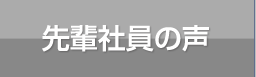 先輩社員の声